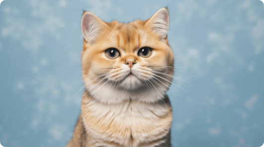 Unleash Creativity with DreamFace Photo Singing