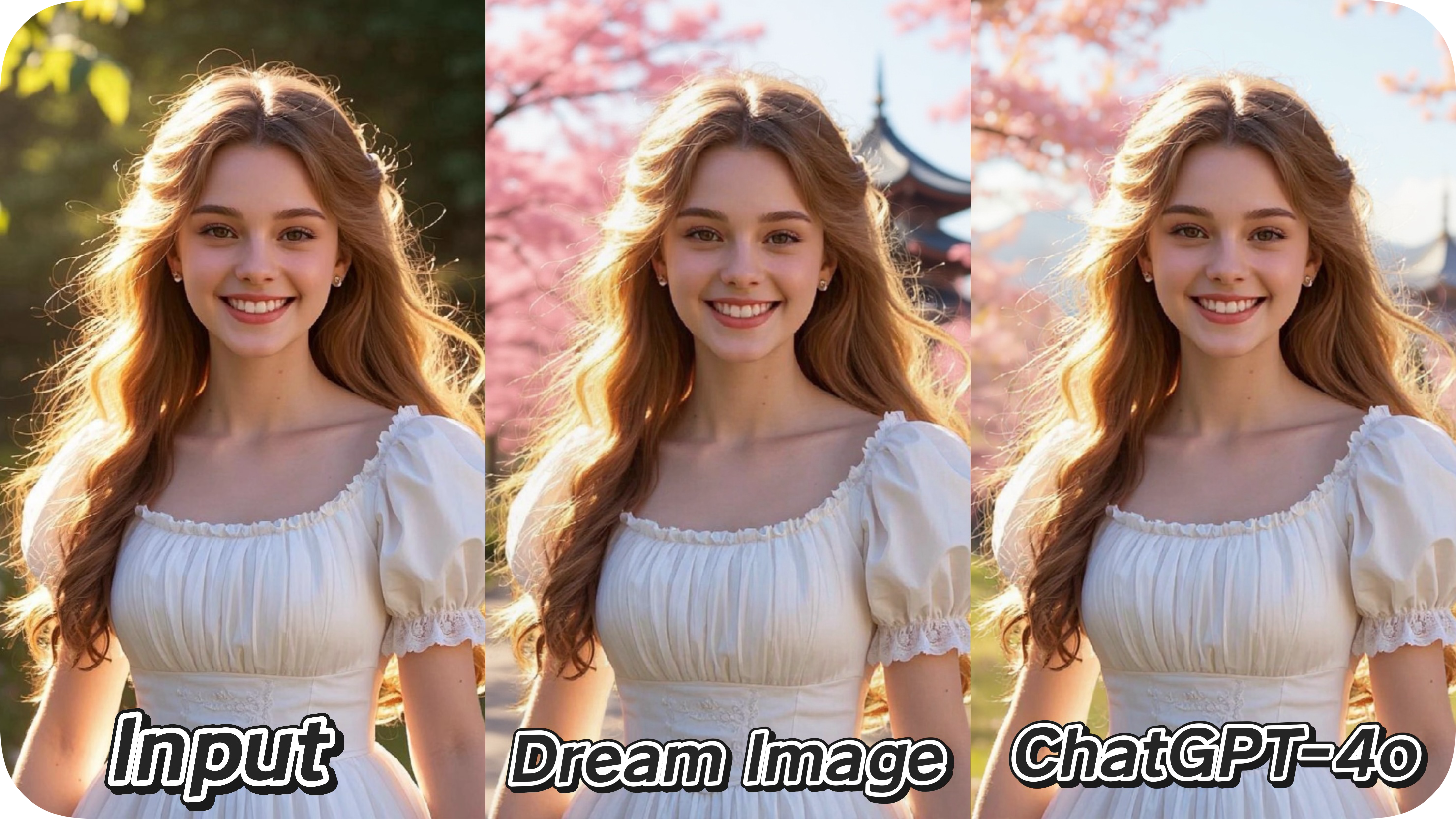 IMG_6756(1).PNG