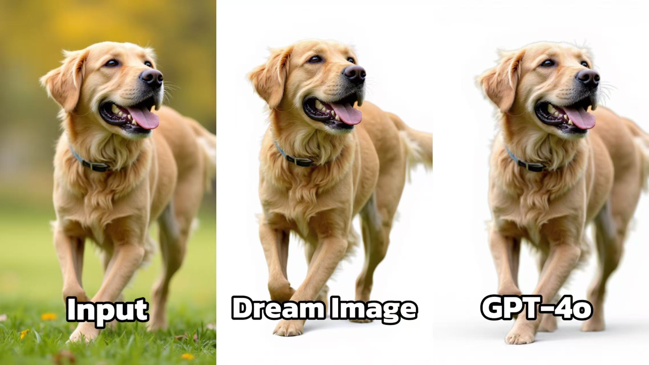 70621752735703_.pic.jpg