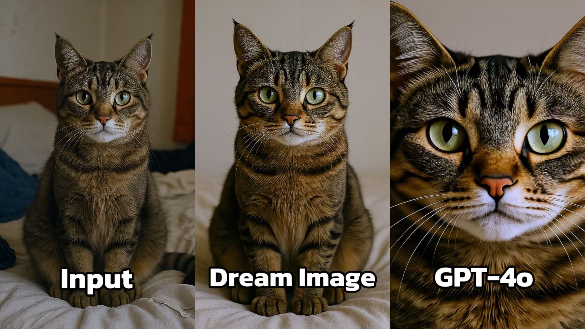 70481752657143_.pic.jpg