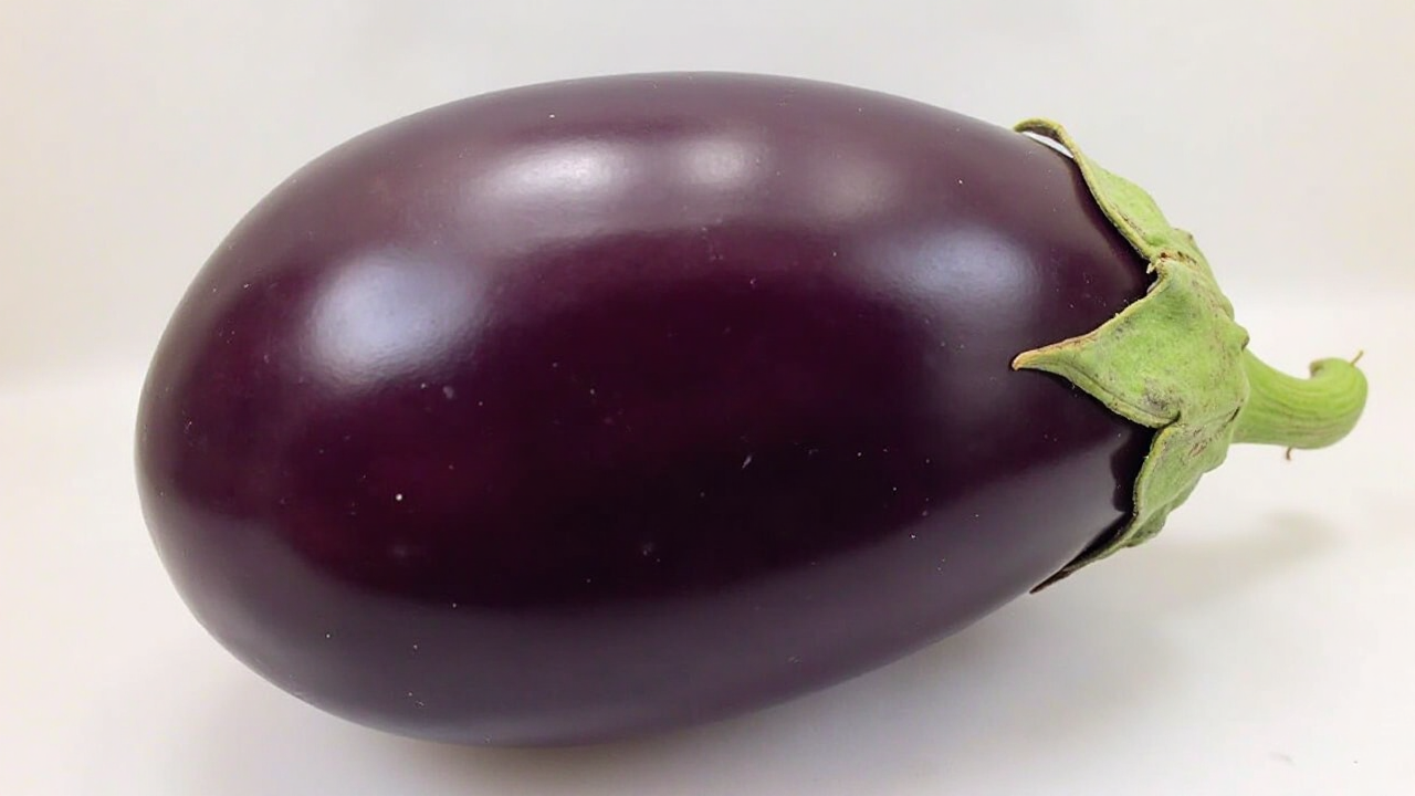 Purple Eggplant Facts